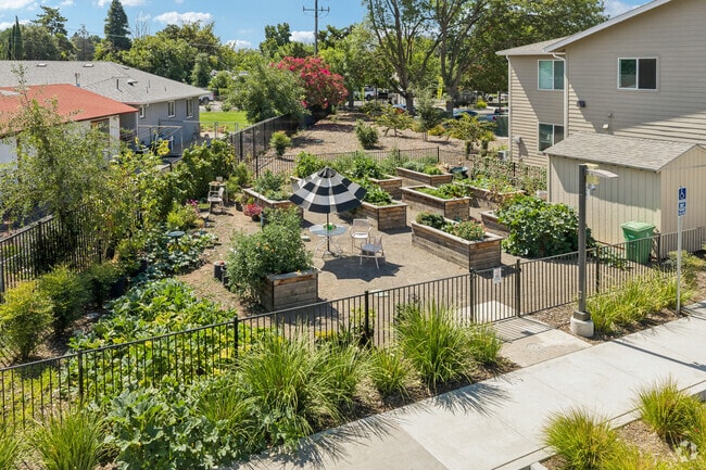 Community Garden - Tonea Senior Housing