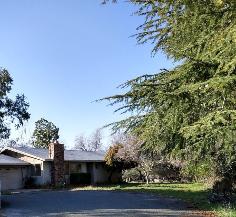 Primary Photo - 1401 Hamblen Way