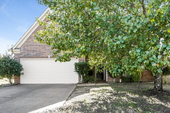 Building Photo - 9055 Coral Shell Ln