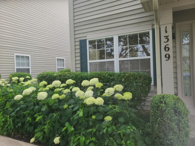 Foto del edificio - 1369 Orleans Dr