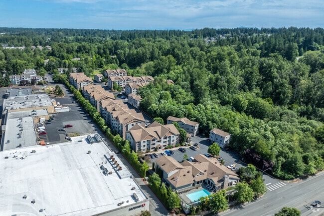 Aerial Photo - Willow Tree Grove