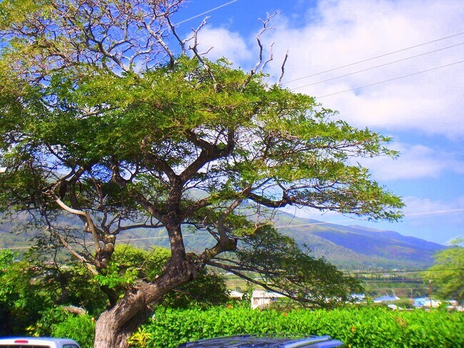 Foto del edificio - Wailuku - Spacious 2 bedroom, 1 bathroom -...