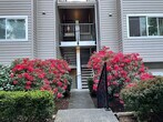 Stairs to Unit - 12036 100th Ave NE