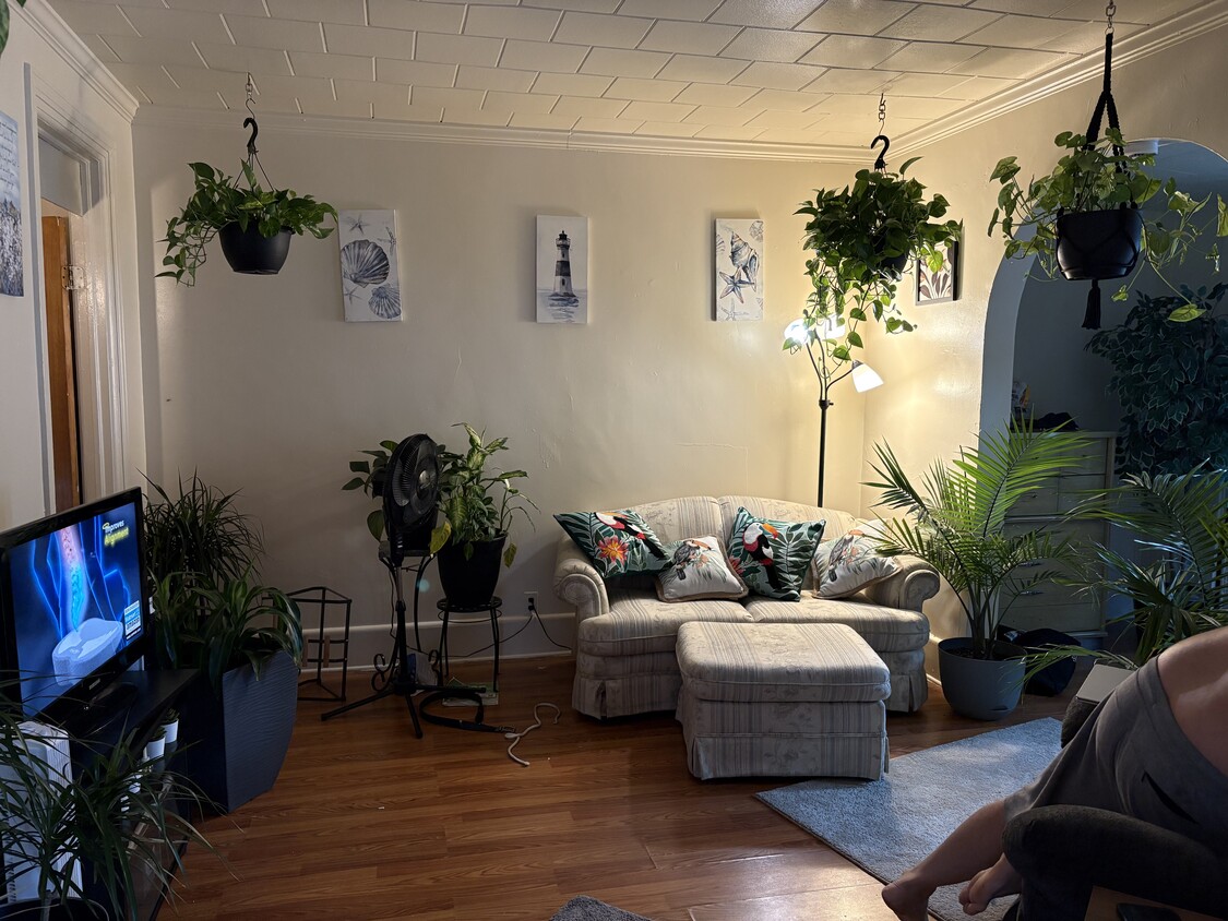 Foto principal - 81 Cameron St