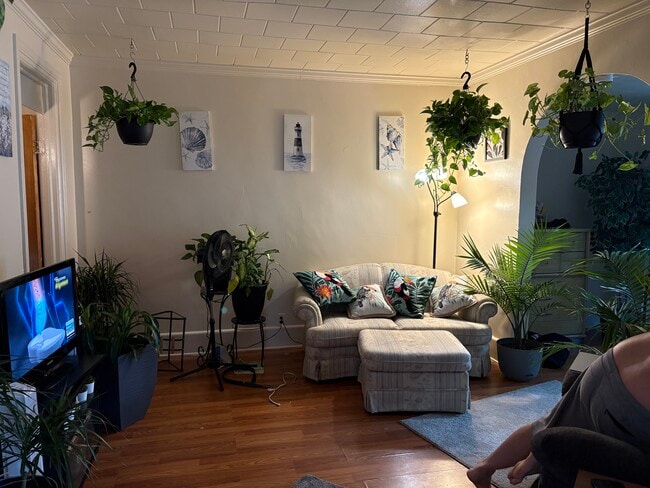 Building Photo - 81 Cameron St