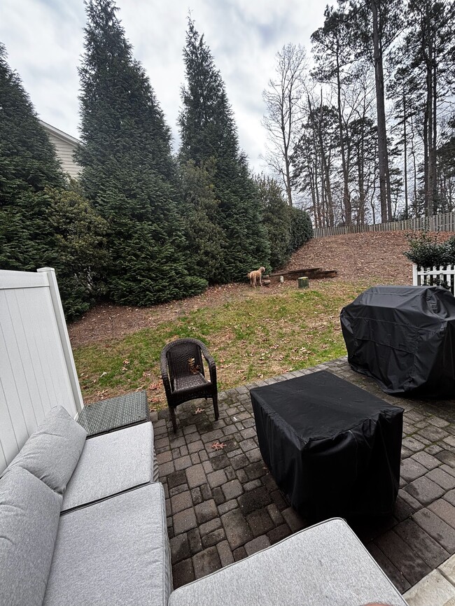 Patio interior - 743 Carolina Ave