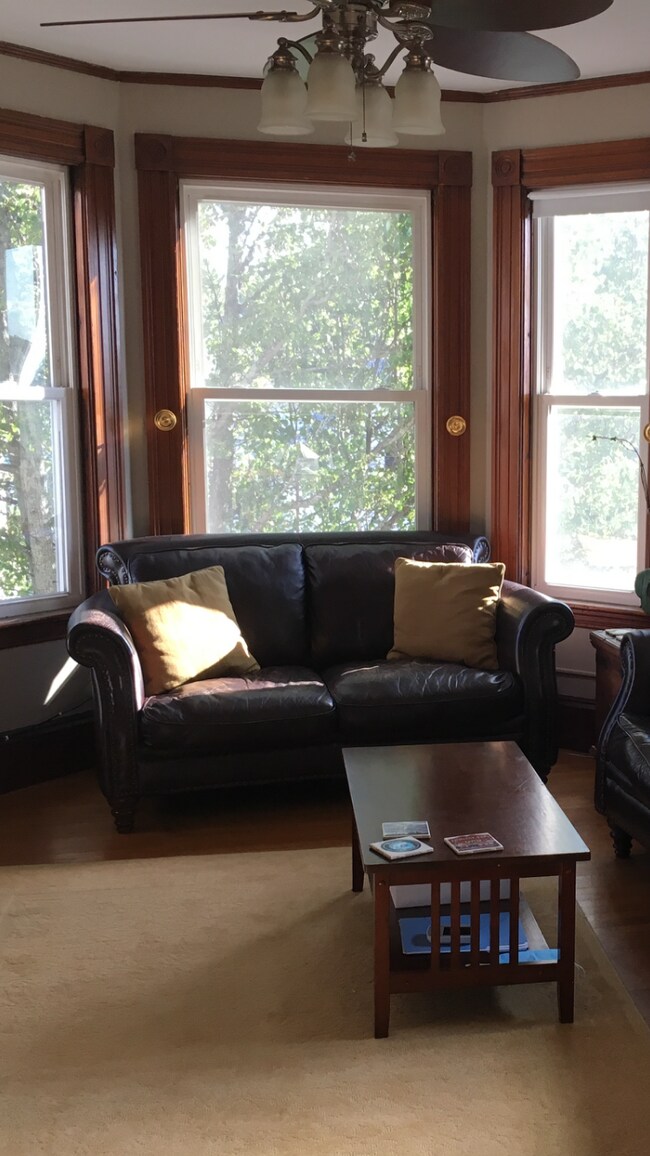 Sunny large windows overlook lovely street - 12 Judson St