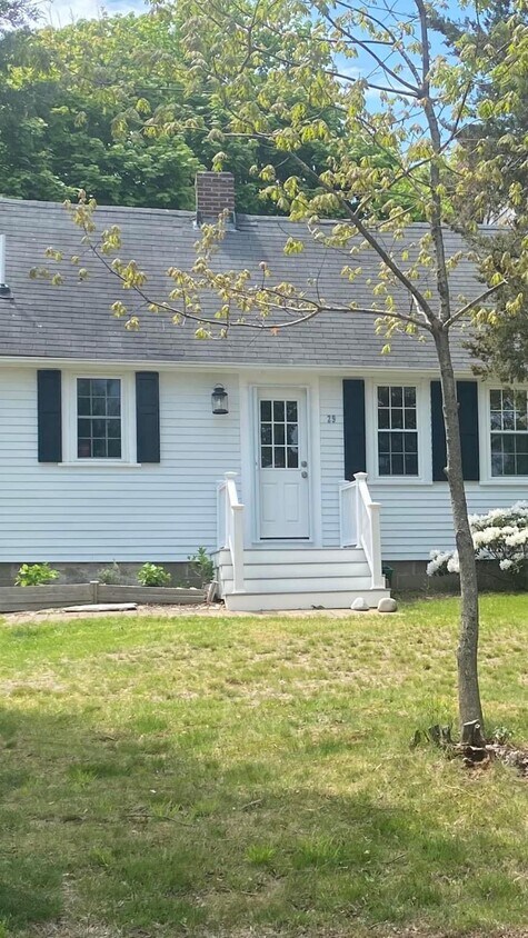 Primary Photo - 29 Field St