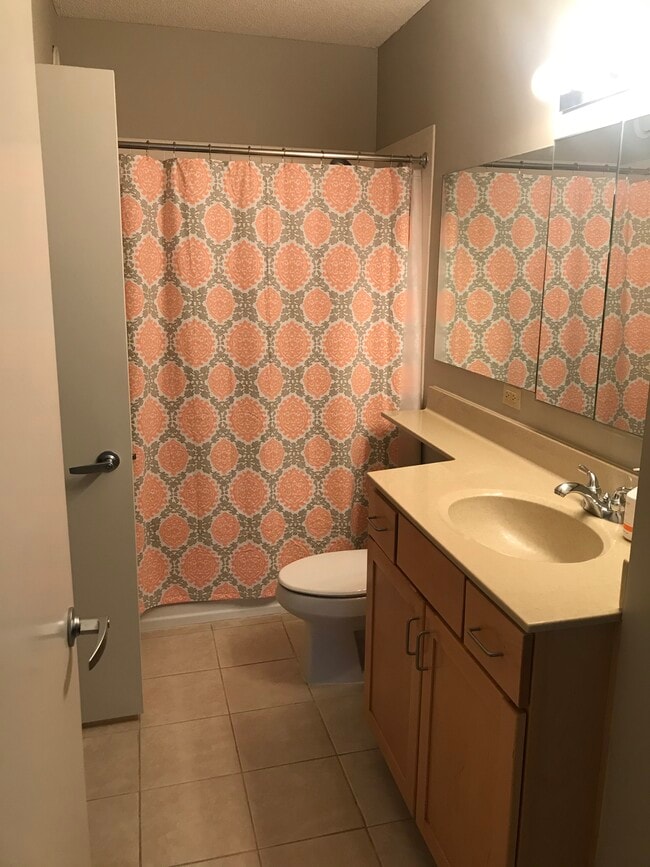 Bathroom - 222 N Columbus Dr