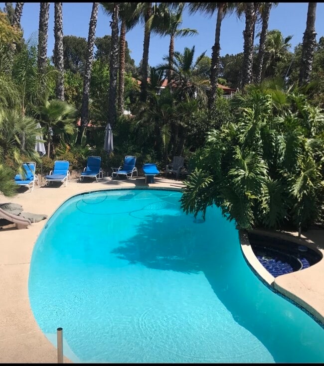 Pool - 1824 Shadow Knolls Pl