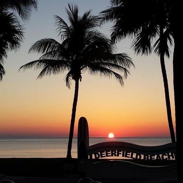 Foto del edificio - 1537 E Hillsboro Blvd