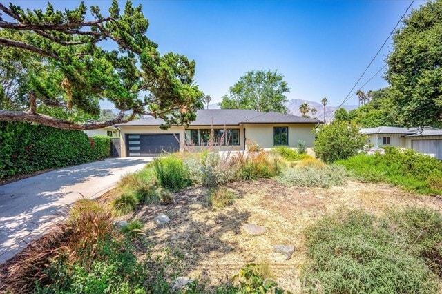 Primary Photo - 613 Alameda St