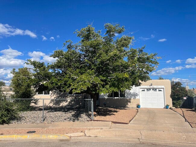 Building Photo - 1115 Calle Quieta