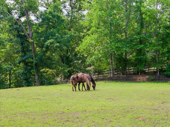 Horse pasture - 767 S River Rd