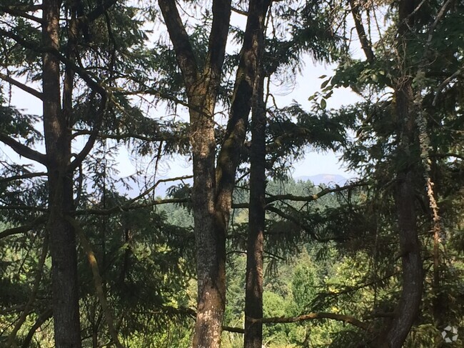 View from the deck off the Living  Room. - 2663 Woodstone Pl