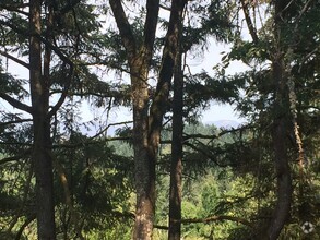 View from the deck off the Living  Room. - 2663 Woodstone Pl