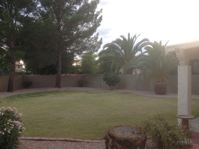 Back Yard - 2560 N Lindsay Rd