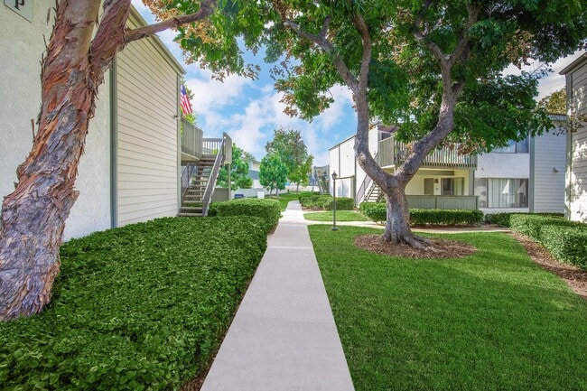Foto del edificio - Canyon Village Apartment Homes