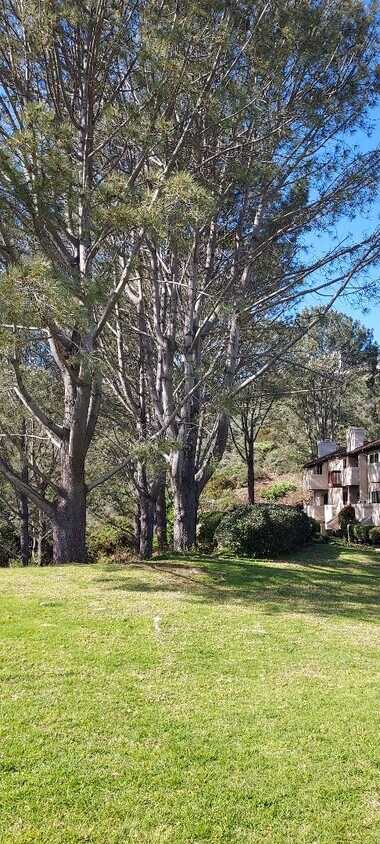 Park outside front door - 1280 River Vista Row
