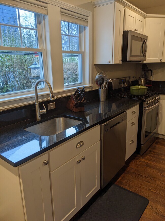 Kitchen Sink - 44-1 Pitcher Ave