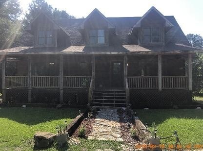 Primary Photo - Secluded Log Cabin with a view of horses!
