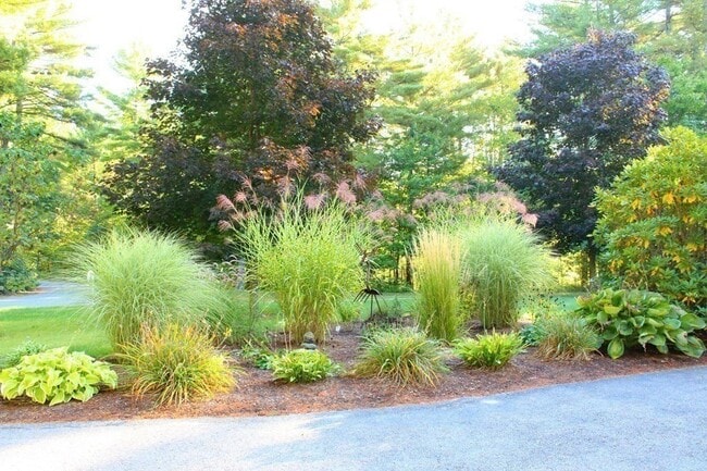 Building Photo - 11 Longley Rd