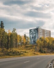 Building Photo - Highland Tower