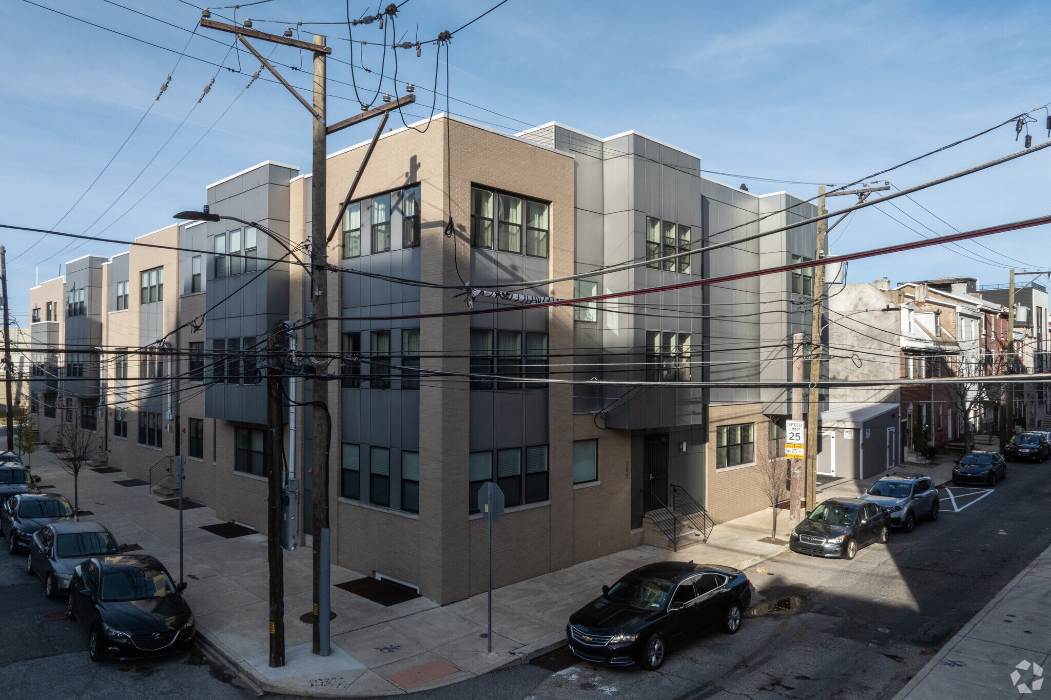 The Elm at Shackamaxon