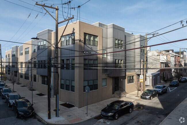 The Elm at Shackamaxon