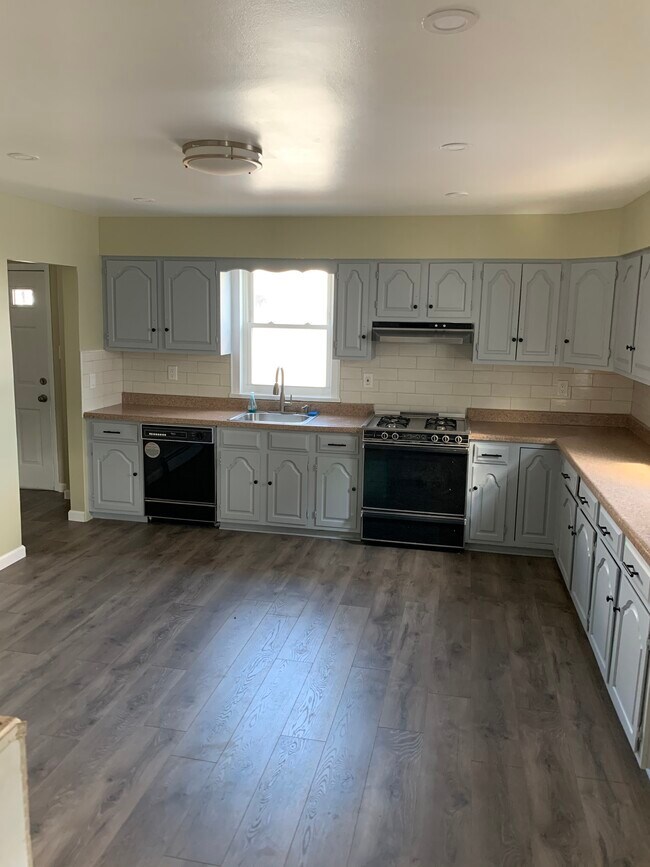 Dishwasher provided - 51 Halstead St