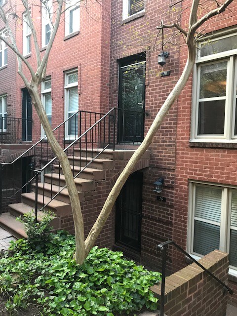 Foto del edificio - 78 15th St NE