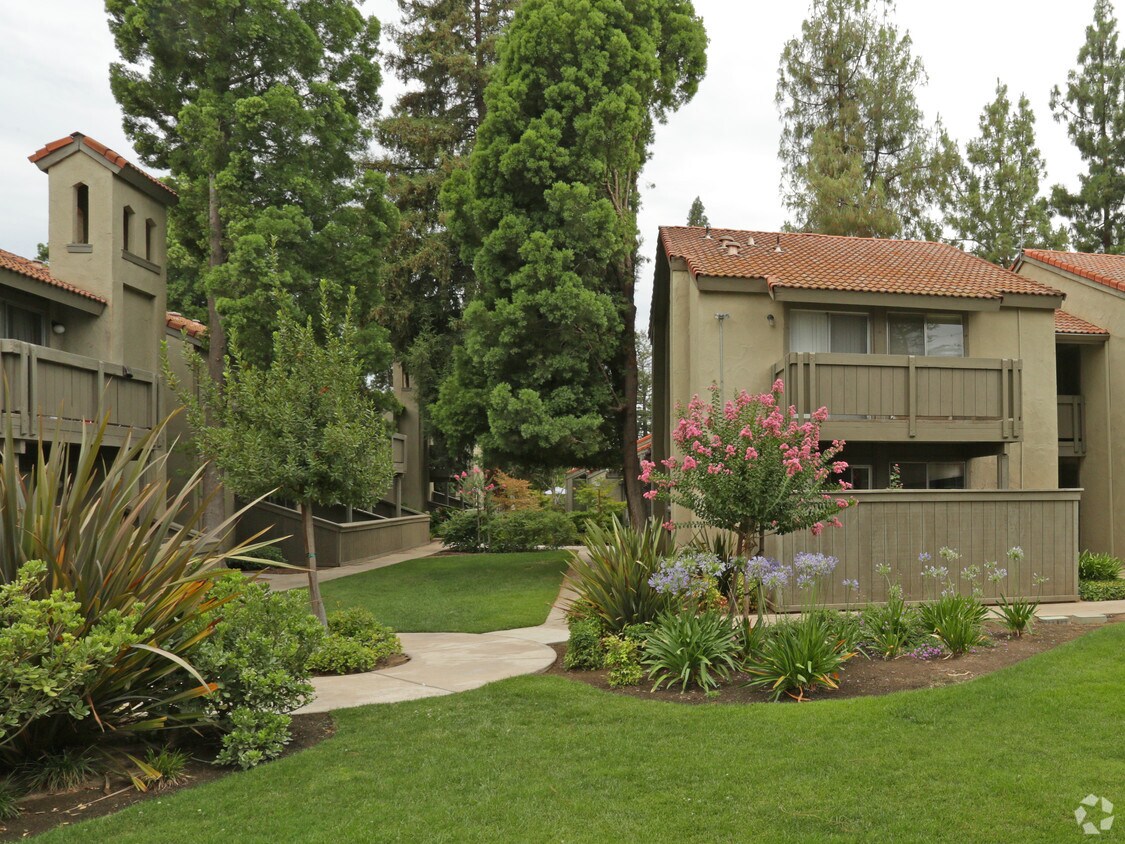 Cedar Springs Apartments Fresno, CA