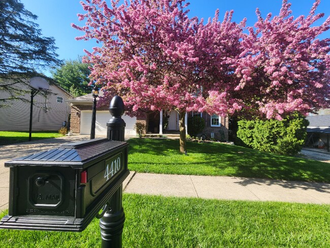 Foto del edificio - 4410 Pine Brook Ct