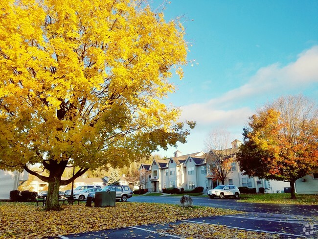 Autumn at Willow Wood - Willow Wood Apartment Homes