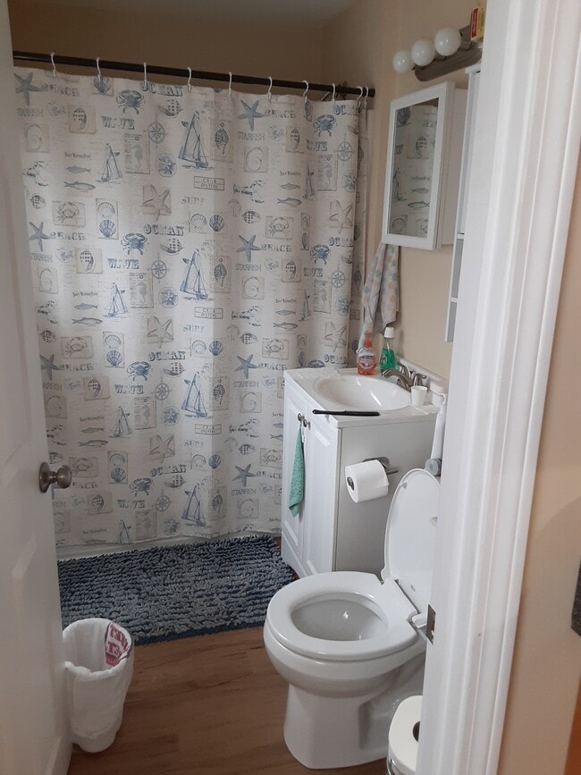 Bathroom - 219 Washington St