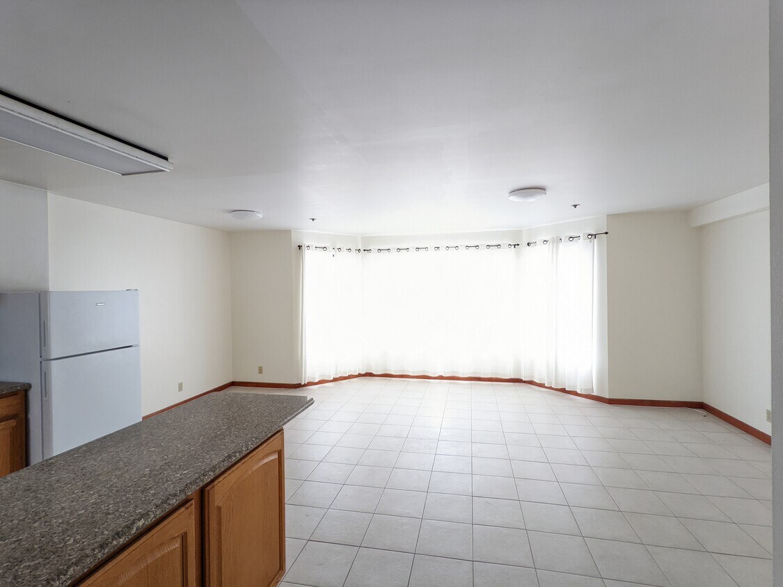 Living Room (northview) - 1387 Pacific Ave