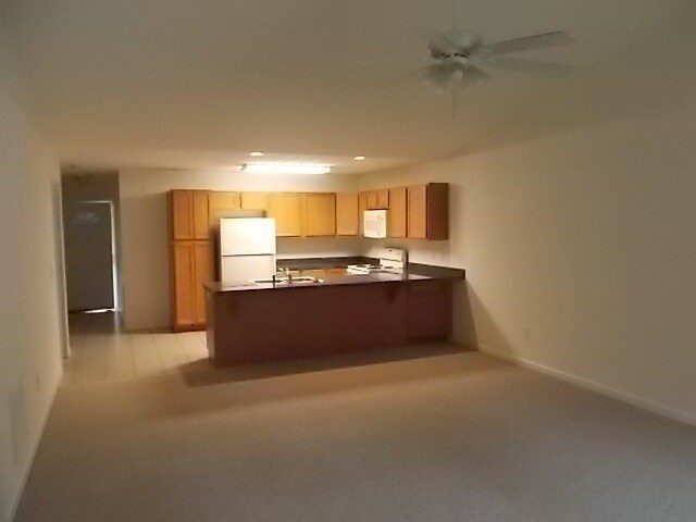 Open living & kitchen - 3995 Hidden Hollow Dr