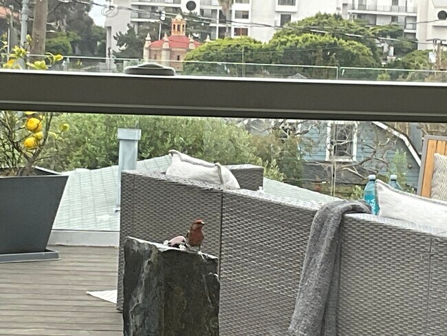 Foto del edificio - 3009 3rd St