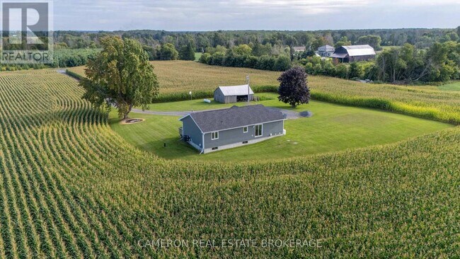 Photo du bâtiment - 18163 N Branch Rd