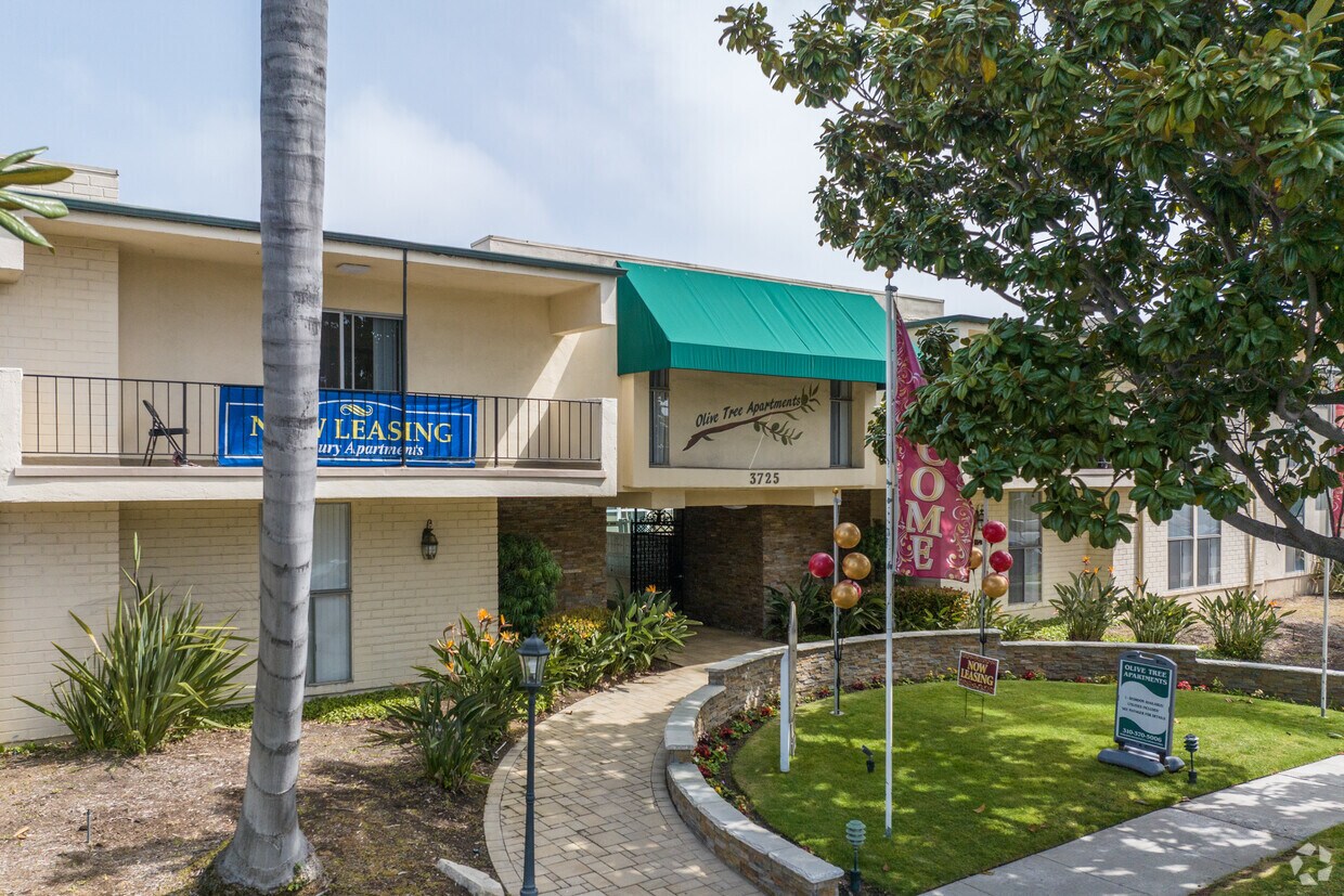 Olive Tree Apartments Apartments in Torrance, CA Westside Rentals