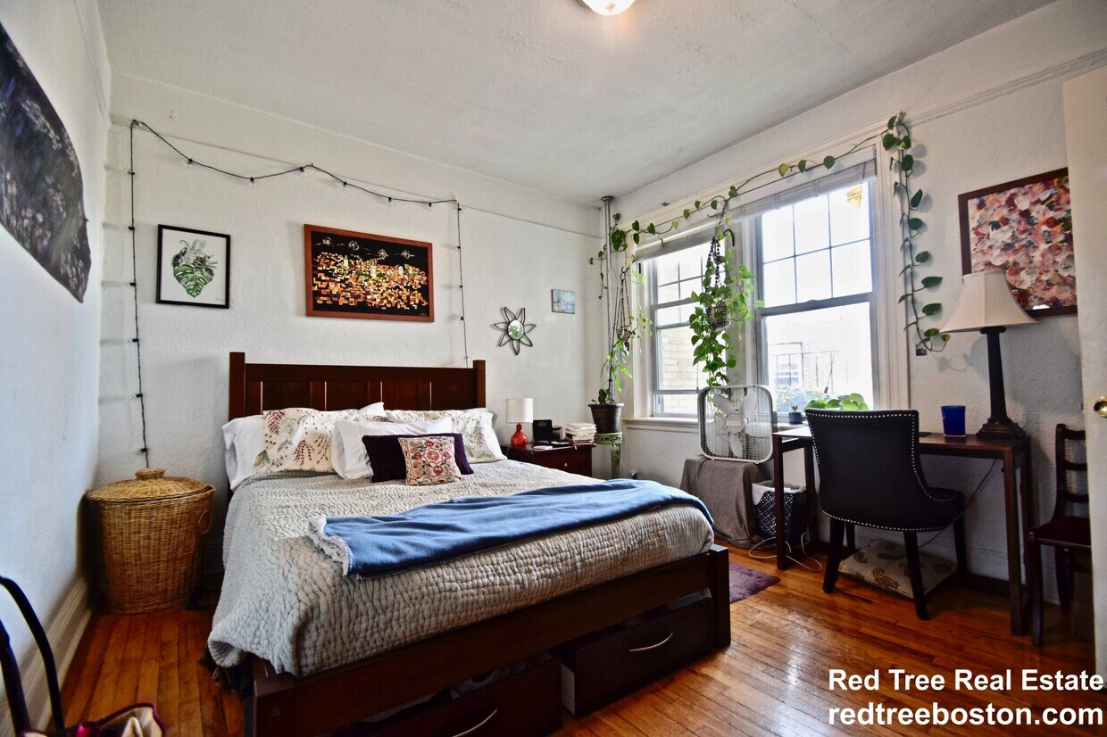 Foto principal - 1691 Commonwealth Ave