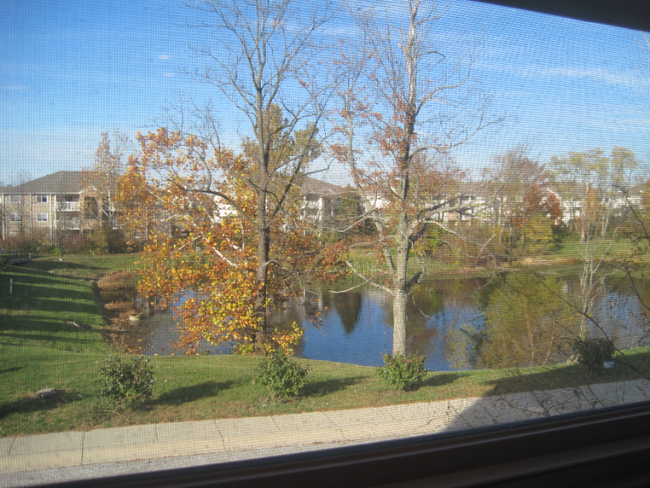 Building Photo - 1459 Oakhill Dr