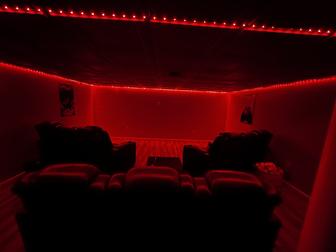 Finished basement. Theatre - 1075 Swallow Tail Ln