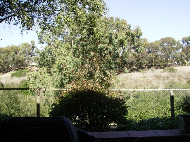 view over the canyon - 2832 Winthrop Ave