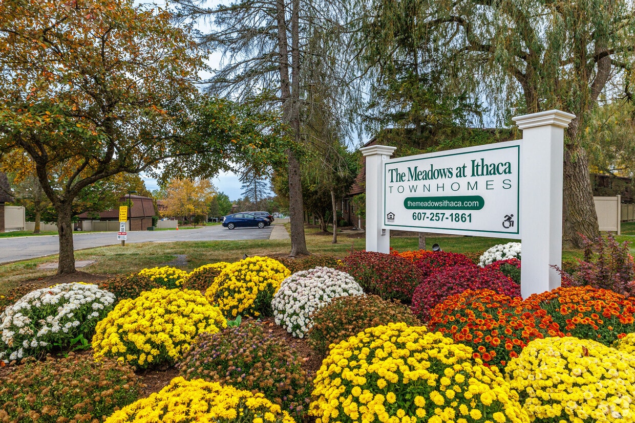 Foto principal - The Meadows at Ithaca Townhomes