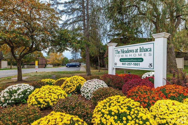 Building Photo - The Meadows at Ithaca Townhomes