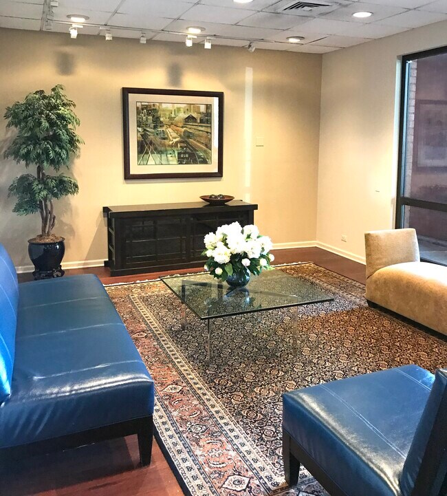 899 S Plymouth Ct Unit 306, Chicago, IL 60605 Condo for Rent in