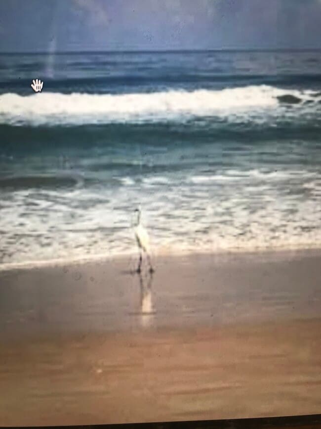 Photo - 39 Sandra Dr House