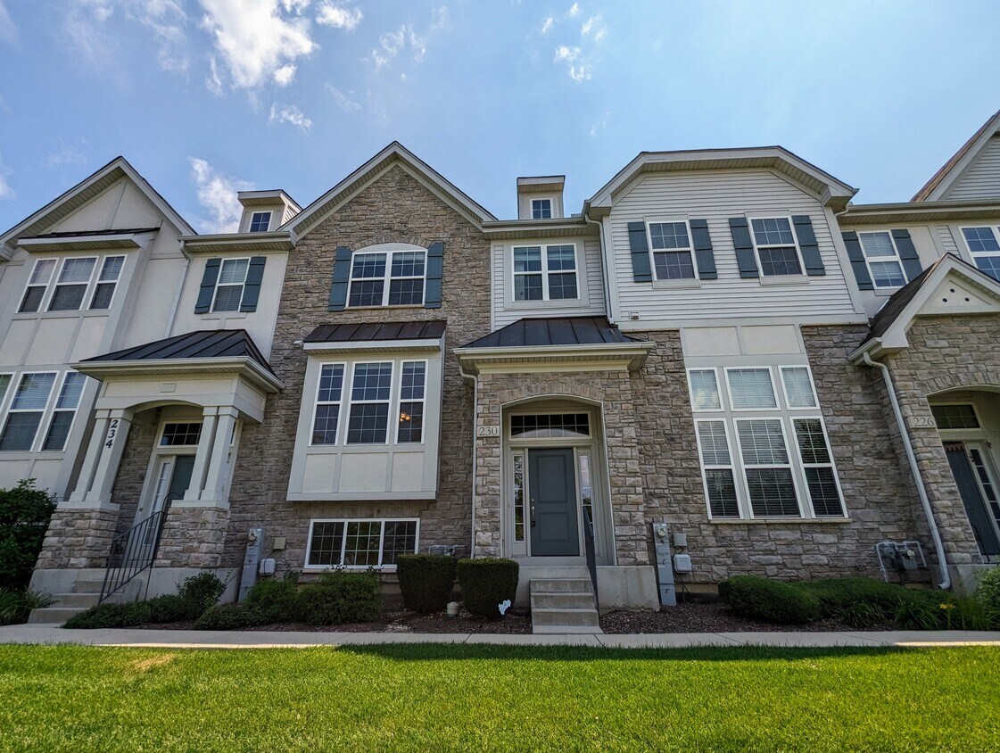230 Dr, Carol Stream, IL 60188 Townhome Rentals in Carol Stream IL