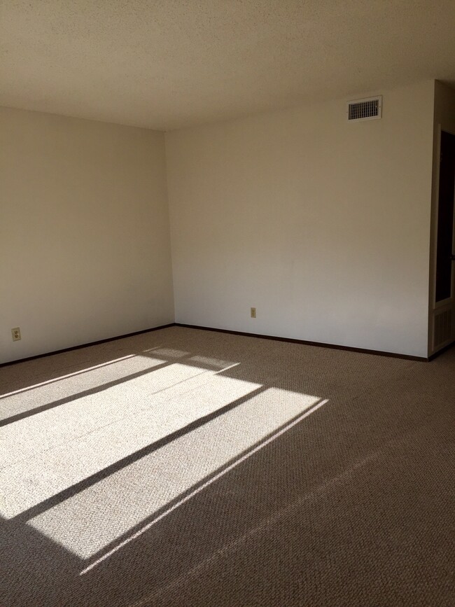 Living room - 247 20th Ave